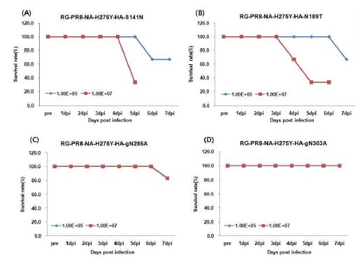 Effect of survival rate in the inoculated mice with HA mutation recombinants on NA resistant virus (RG-PR8-NA-H275Y)