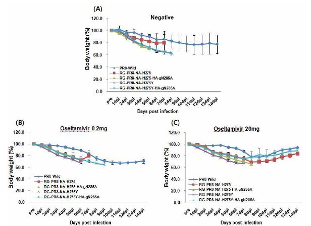 Effect of oseltamivir treatment on body weight in the inoculated mice with recombinants to determine concentration of oseltamivir