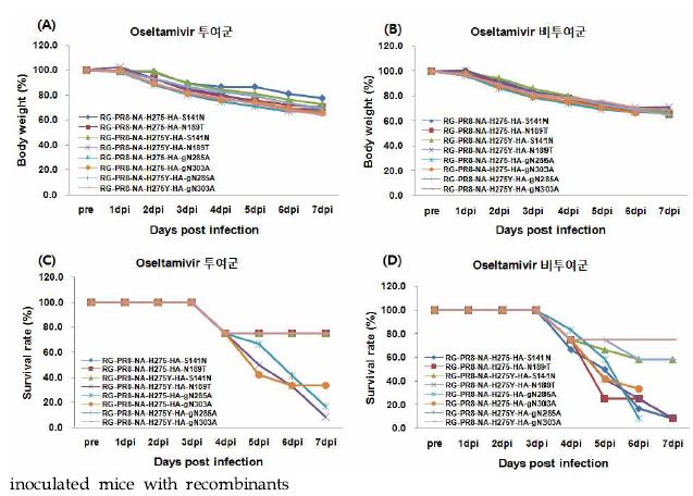 Effect of oseltamivir treatment on body weight and survival rate in the inoculated mice with recombinants