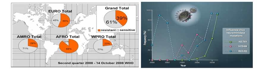 Oseltamivir resistant H1N1 in 2007-2008 season