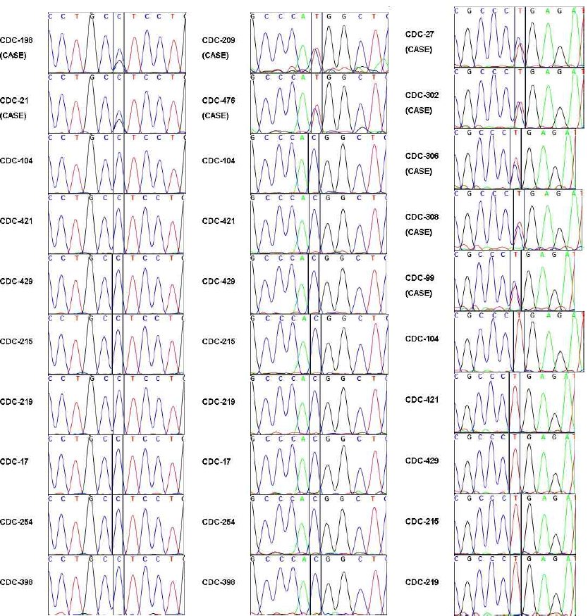 Sanger sequencing chromatogram 확인 결과