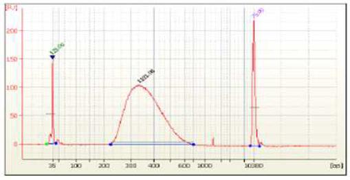 2100 Bioanalyzer을 이용한 amplified library DNA pattern 확인