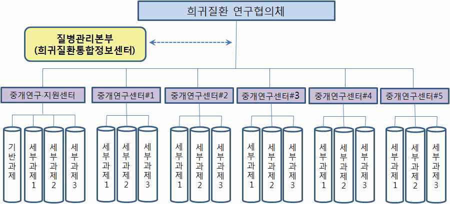 보건복지부 희귀질환 진단·치료기술개발 사업 구조