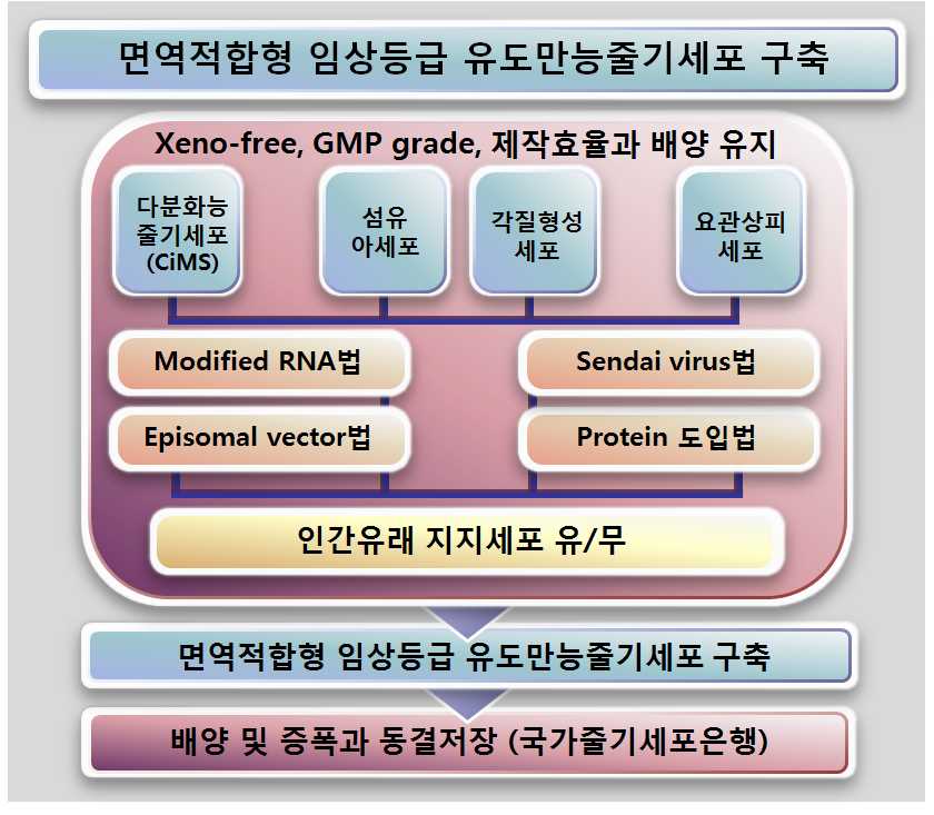 그림 7> 면역적합형 임상등급 유도만능줄기세포 구축 연구개발계획