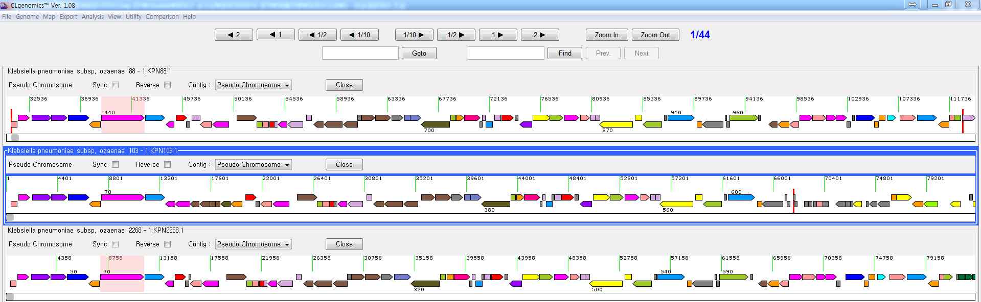 그림 16. Klebsiella pneumoniae 균주들의 genome 결과들을 clg file을 이용하여 분석하는 예시