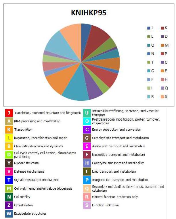 그림 17. K. pneumoniae KNIHKP95의 COG distribution의 그림