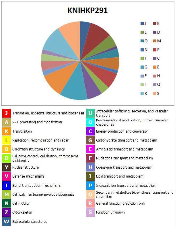 그림 22. K. pneumoniae KNIHKP291의 COG distribution의 그림
