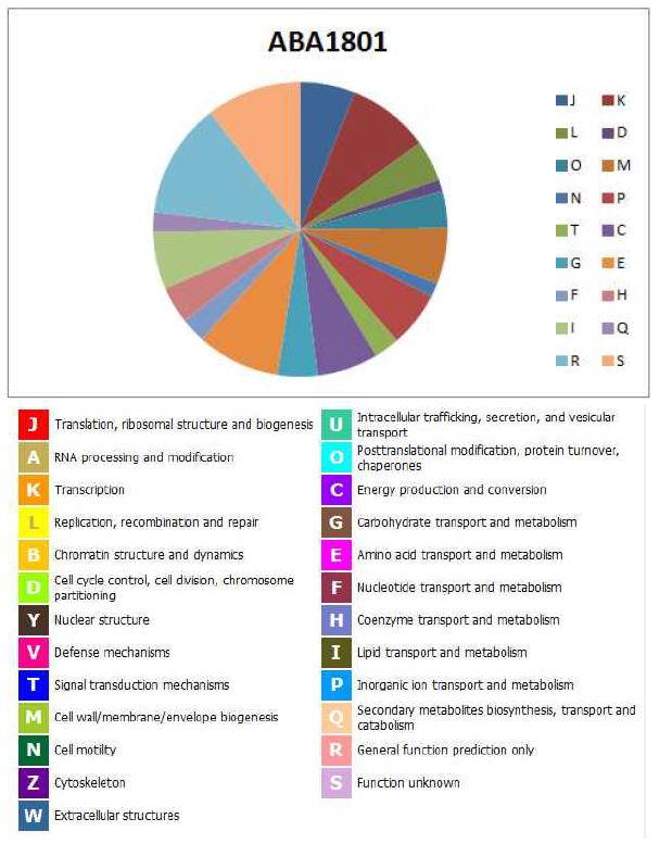 그림 26. A. baumannii ABA1801의 COG distribution의 그림