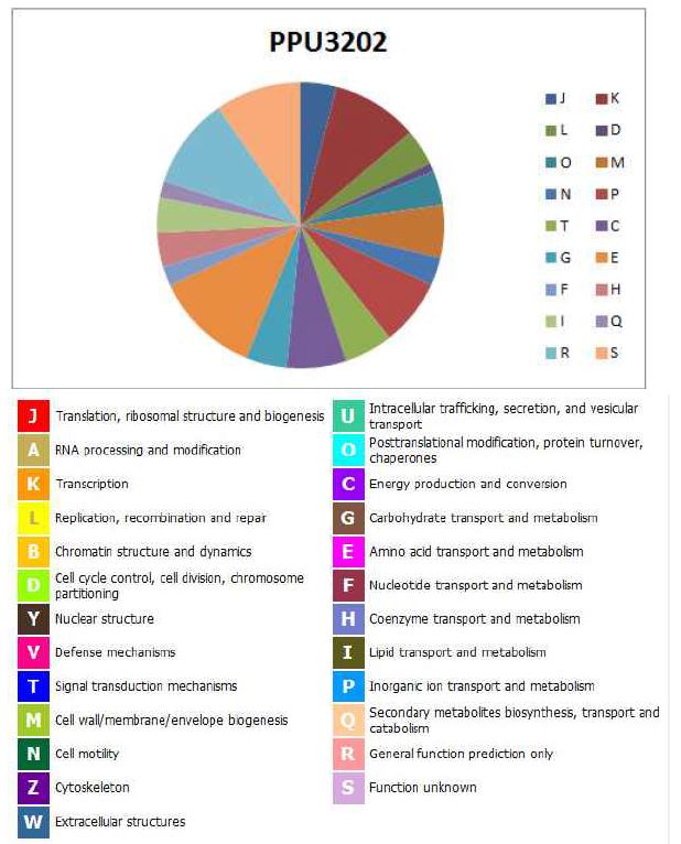 그림 29. Pseudomonas monteilli PPU3202의 COG distribution의 그림