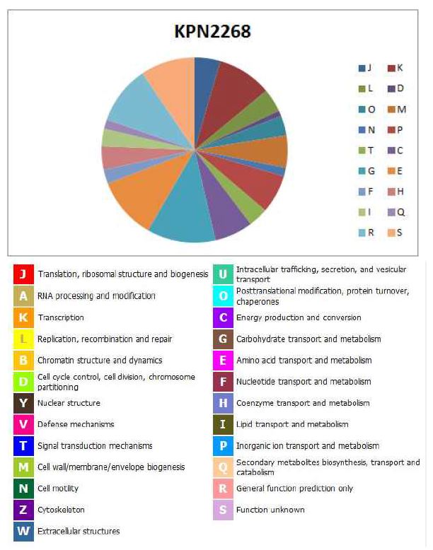 그림 32. K. pneumoniae KPN2268의 COG distribution의 그림