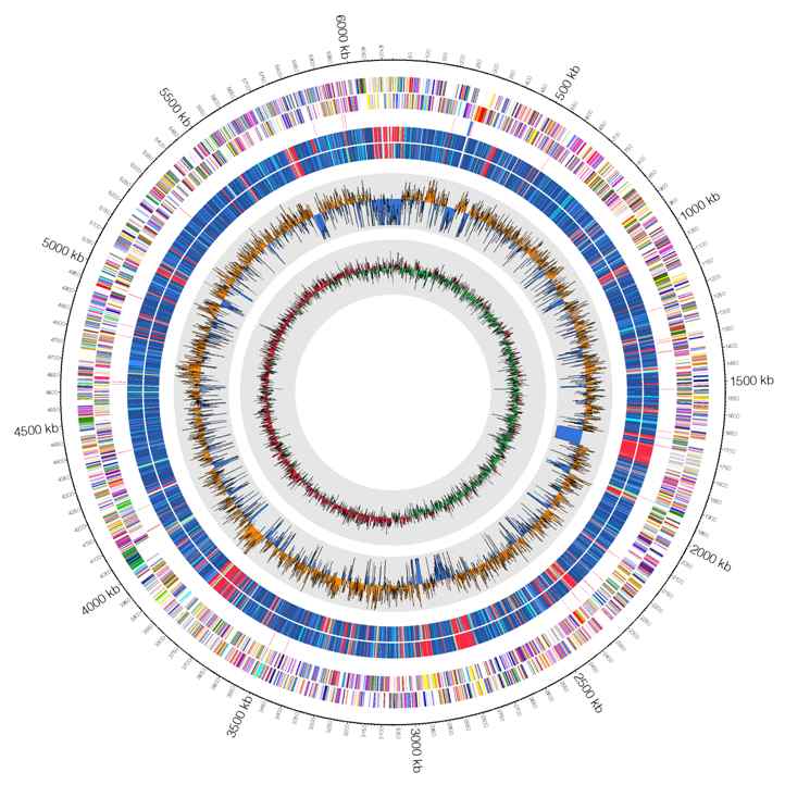 그림 50. Pseudomonas monteilii PPU3202 균주의 circos map 결과