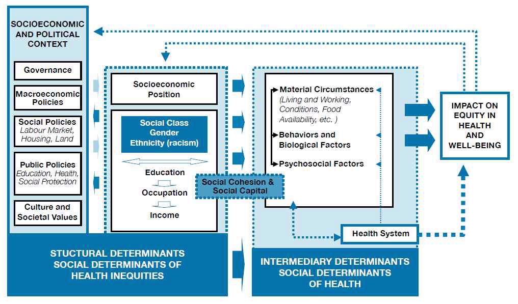 WHO 건강의 사회적 결정요인 위원회가 채택한 Diderischen의 건강불평등 설명모형