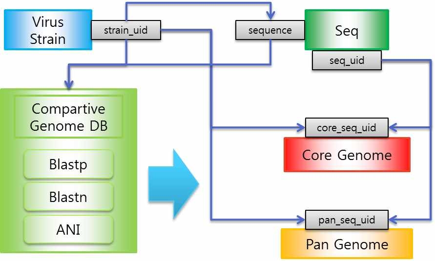 Virus genome database structure