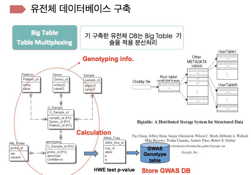 그림 18. 유전체 데이터베이스 구축을 위한 스키마 (GWAS database schema)