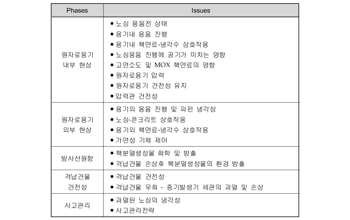 SFEAR 보고서의 중대사고 현안