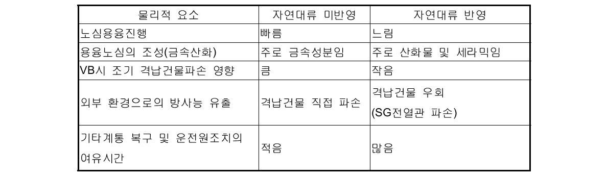 중대사고현상의 물리적 요소에 대한 자연대류현상의 영향