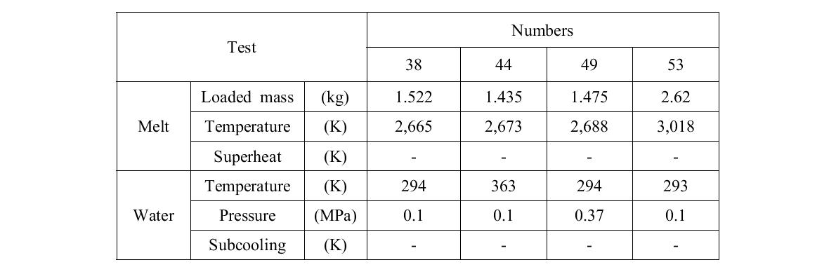 Summary of TEXAS-V input