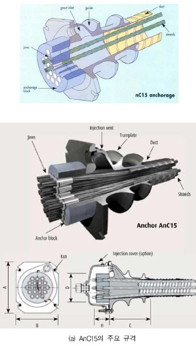 그림 2.1.9 앵커헤드의 규격(Freyssinet C Range Anchor AnC15)