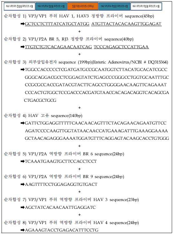 그림 15. A형 간염바이러스의 Conventional RT-PCR 양성대조군 gene 합성 sequence