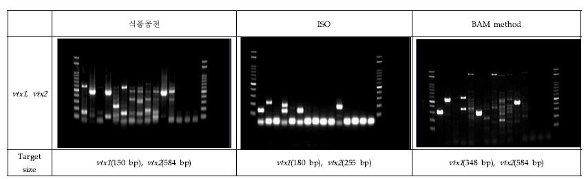 그림 13. PCR amplification profiles