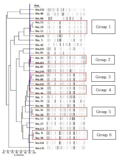 그림 19. Genetic homology between 32 pathogenic E. coli