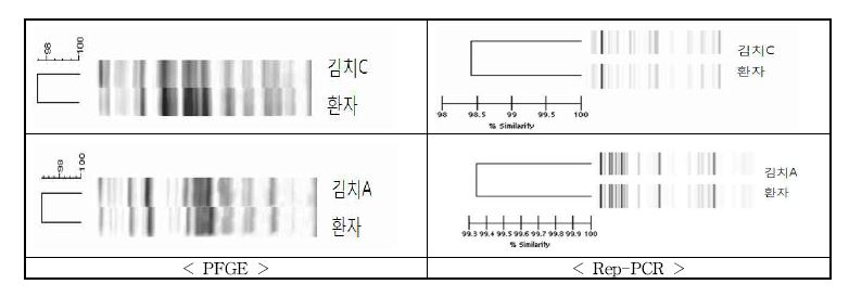 그림 24. Genetic homology of ETEC O99(상) and O120(하)