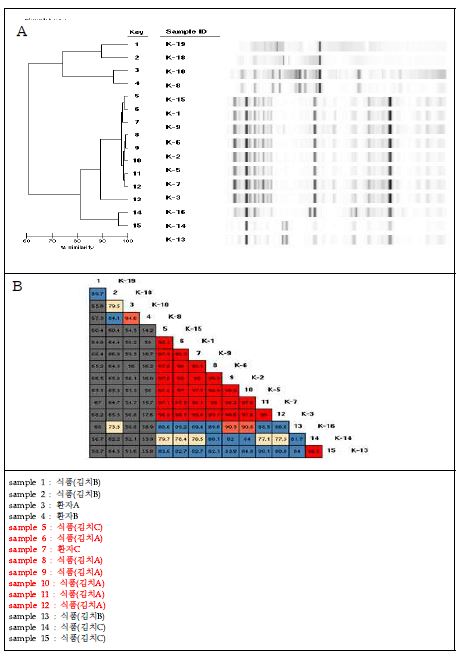 그림 25. DNA analysis pattern and dendrogram of suspicious isolates by Rep-PCR