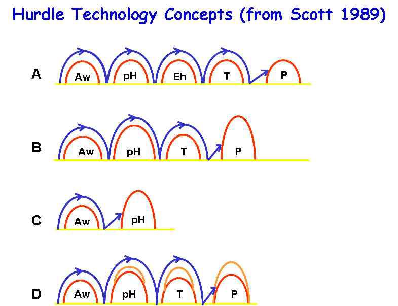 Hurdle technology의 개념