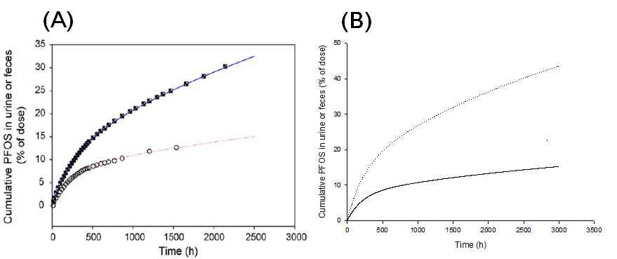 4.2 mg PFOS/kg 경구투여 후 기 보고된 결과(A)와 simulation 결과(B)의 뇨와 분변에서 축적 배설량 그래프