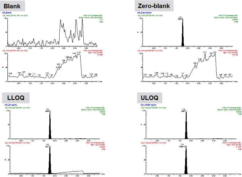 뇨 중 검량선 크로마토그램의 예