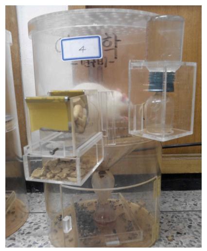 Metabolic cage 사육 모습