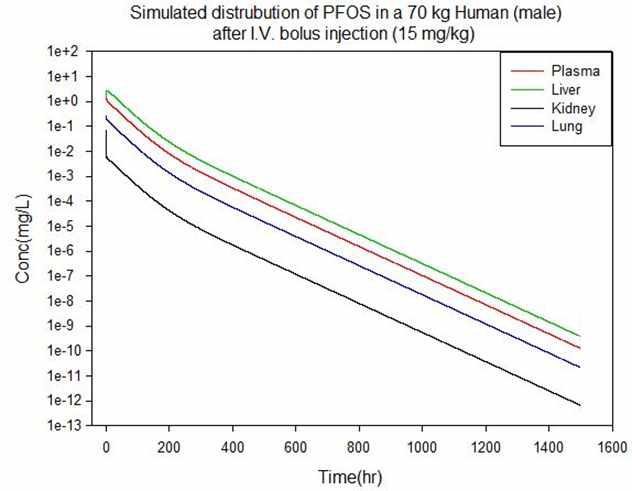 15 mg/kg 정맥투여 후 사람에서 혈액과 조직의 PFOS 농도 예측