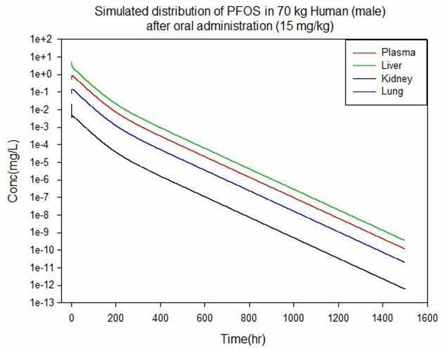 15 mg/kg 경구투여 후 사람에서 혈액과 조직의 PFOS 농도 예측