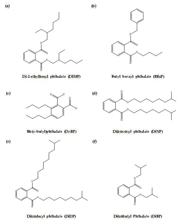 주요 프탈레이트의 구조식