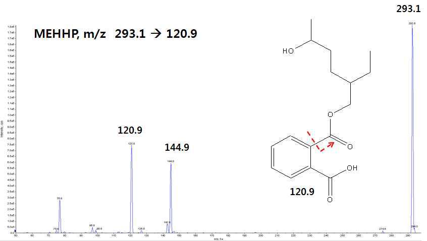 MEHHP mass spectra.