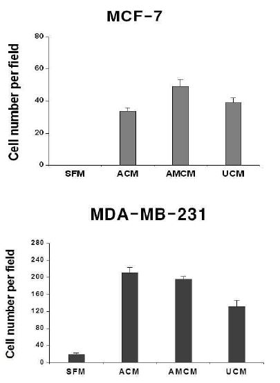 그림 22. MSCs-CM에 의해 이동된 암세포의 비교 결과
