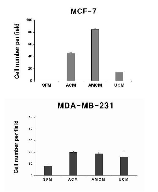 그림 24. MSCs-CM에 의해 invasion된 암세포의 비교 결과
