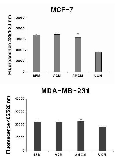 그림 26. MSCs-CM에 의한 암세포의 콜로니 형성능 비교 결과