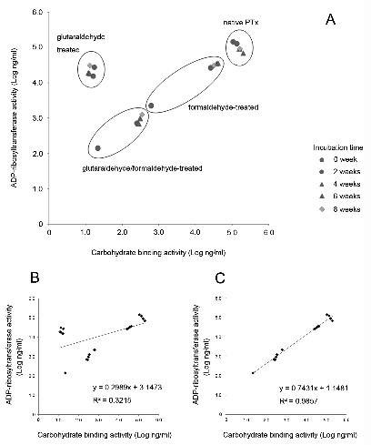 그림. 10. 무독화제에 따른 carbohydrate binding assay와 enzymatic HPLC assay 상관성