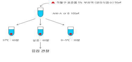 그림 1. ABO 특이성 시험방법