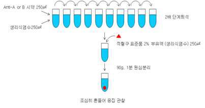 그림 3. ABO 응집소역가 시험방법