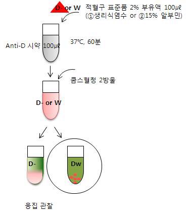 그림 4. D-/Dw 특이성 및 쿰스반응성 시험방법