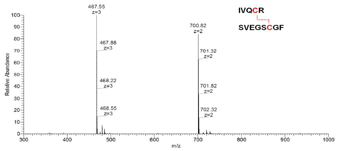 RT 17.79분 피크의 LC-MS 질량분석 스펙트럼 분석