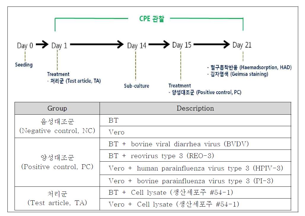 Bovine virus 검출 실험 design