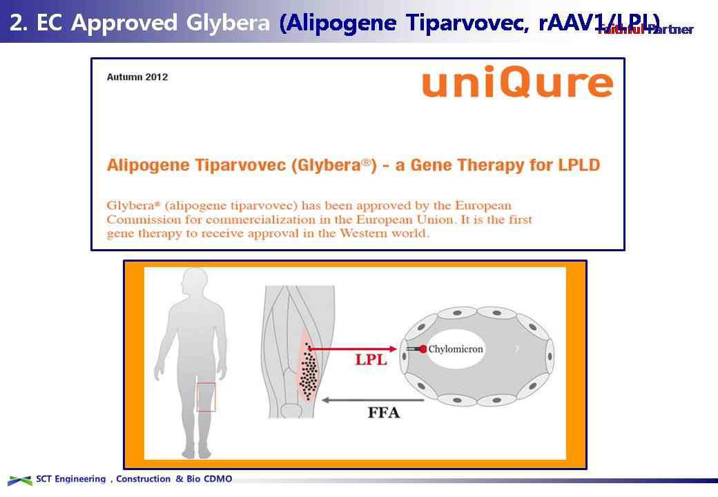 2012년 11월 세계 최초로 EMEA에서 품목허가를 받은 유전자치료제 Glybera.