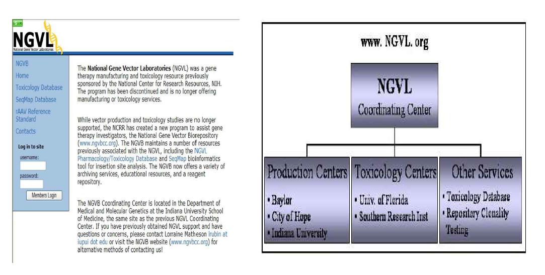 NGVL 홈페이지 안내 및 제 2단계 (2001년～2005)에 선정된 유전자치료제 전문 CDMO 기관