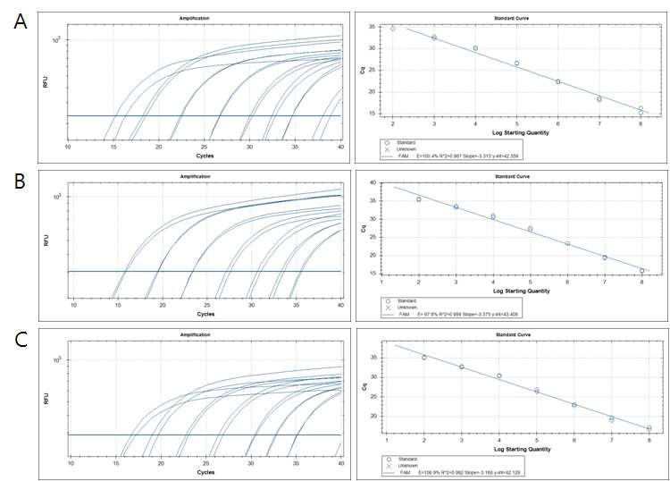 HTLV-I의 Standard curve optimization