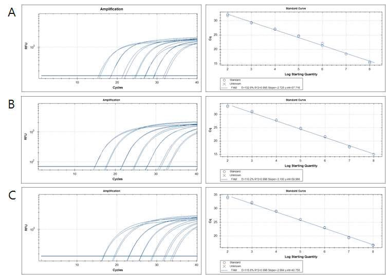 Hepatitis B Virus Standard curve optimization