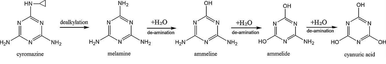 그림 8. Cyromazine이 cyanuric acid로 구조변경이 일어나는 과정