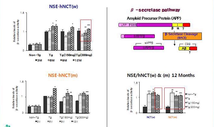 Figure 9. β-Secretase activity of Non-Tg and Tg mice.